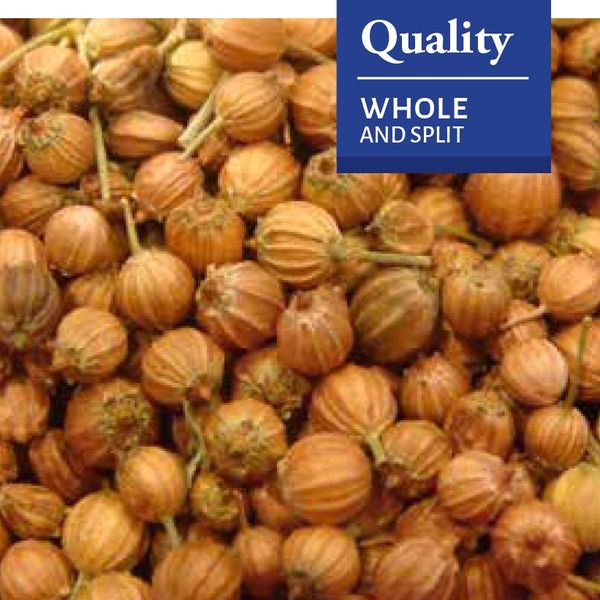 Coriander Grain from 아르헨티나 supplied by QUELLE TRADE, import export d.o.o - 고수
