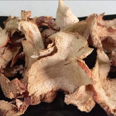 Galangal from Indonesia supplied by Solo Bisnis - PE Bags (15kg) Galangal