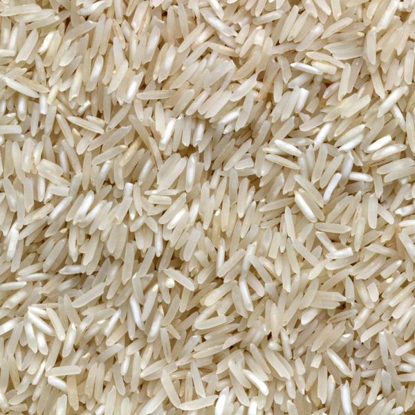 Rice from 알제리 supplied by Arthashastra Intelligence - Polished 찹쌀