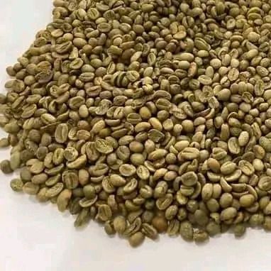 Grain de café from Ivory Coast supplied by AFRICA BUSINESS INVESTMENT HOLDING - Robusta Raw Common Coffee Bean