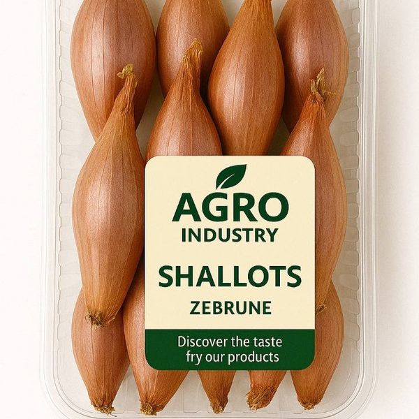 Shallot from 키르기스스탄 supplied by Agro Industry - Bulb 샬롯