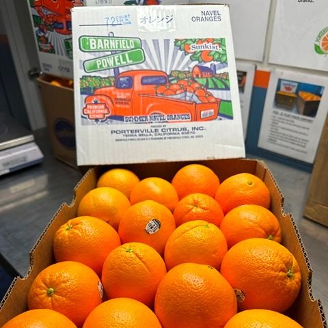 California Citrus from 미국 supplied by Golden Bear Exports & Imports - 발렌시아 프로스트 신선 오렌지