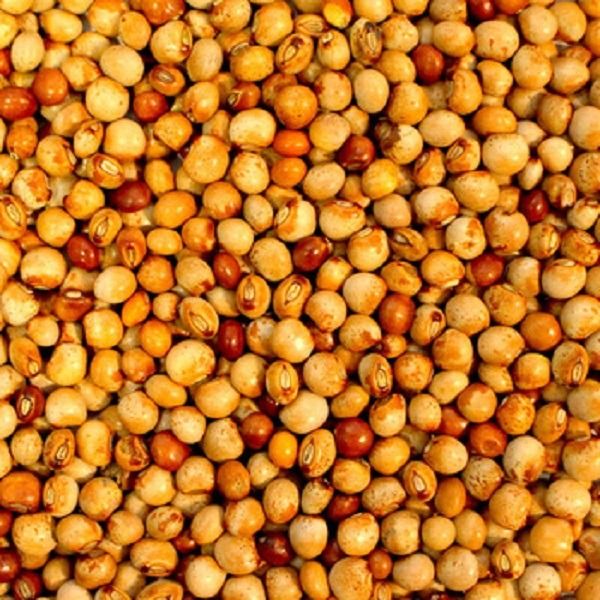 PIGEON PEAS from 탄자니아 supplied by RV EXPORTS LTD - Raw (=Natural) 말린 비둘기콩