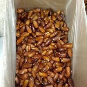 Pitted dates from 튀니지 supplied by AGROTN - Deglet Noor 말린 대추야자