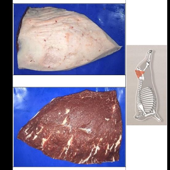 TAPA DE CUADRIL /  CAP OF RUMP from 아르헨티나 supplied by Expandam - Boneless  (=Without Bone=Deboned) 신선 소고기(뼈 없음)