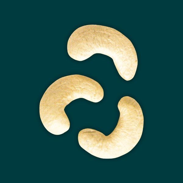 Cashew Kernels W180 from 베트남 supplied by Imiri Soma - 50lb 진공 팩 캐슈너트 알맹이
