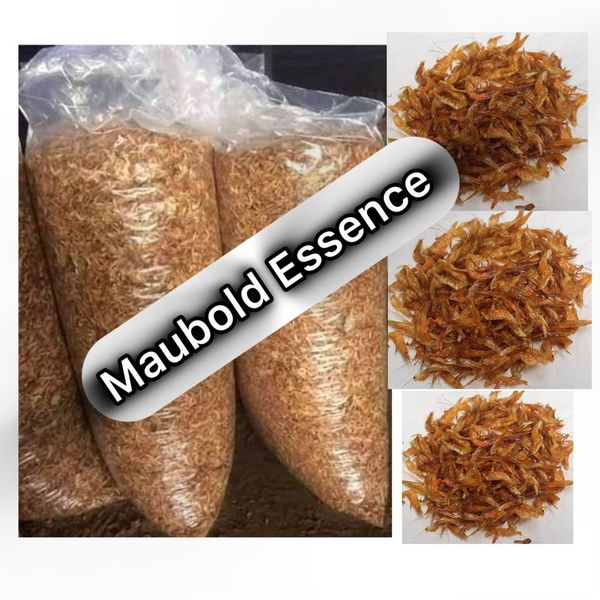 dry Crayfish from 나이지리아 supplied by Maubold Essence Ltd - Marron (=Cherax tenuimanus=Margaret River Marron) 신선 가재
