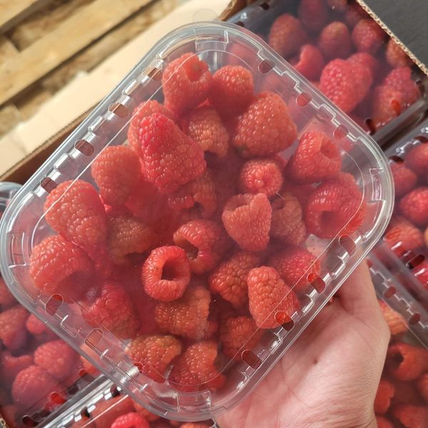 RASPBERRY from 모로코 supplied by ART LOG - Size: 125 g 신선 라즈베리