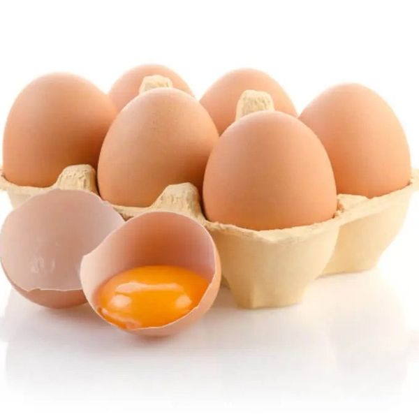 Fresh Table Eggs from 인도 supplied by Porcosta, LDA - Barn-laid 달걀