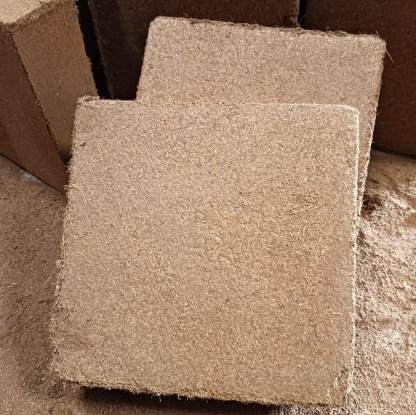 COCONUT PITH BLOCKS from 인도 supplied by AGRO BUSINESS TRADE IMPORT EXPORT SARL - 기타 신선 코코넛