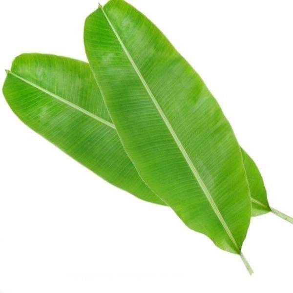 BANANA LEAF from 인도네시아 supplied by INDOTRADING MULTI JAYA, PT - 케일