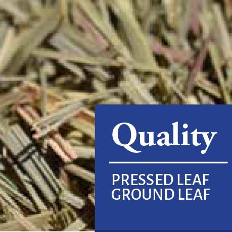Lemongrass Leaf from 아르헨티나 supplied by QUELLE TRADE, import export d.o.o - 레몬그라스