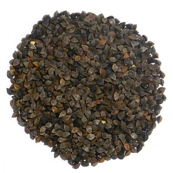 Buckwheat / Hulled Buckwheat from 폴란드 supplied by Elpol Łuźniak Sp. k. - Unspecified 메밀