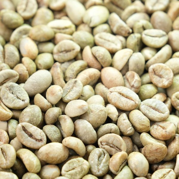 Robusta Clean Coffee Bean high quality from Tay Nguyen, Viet Nam from 베트남 supplied by Detech Coffee Joint Stock Company - S16 (=Screen 16) 생원두