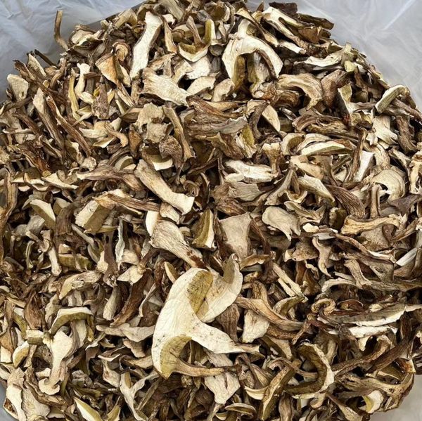 Boletus edulis from 중국 supplied by Hubei jinyida trading co.,ltd - Wild Caught 포르치니 버섯