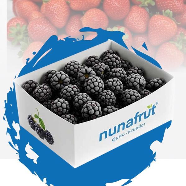 IQF frozen fruit from 에콰도르 supplied by Nunafrut SA - 냉동 패션프루트 펄프