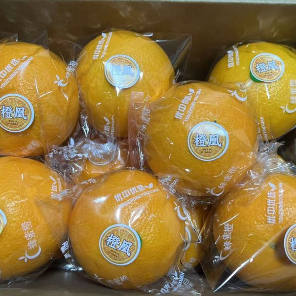 Orange from 중국 supplied by Mayang Blue Phoenix Agricultural Development Co., Ltd. - Size: 45-55s 신선 오렌지