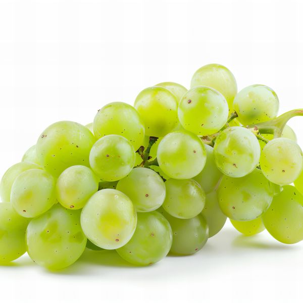 Grape from 인도 supplied by Liberty Exports - 16mm+ 신선 포도