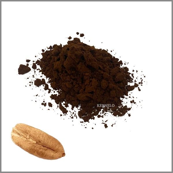 Date Seeds Coffee from 이란 supplied by Nutskala - Pasteurized 대추 가공품