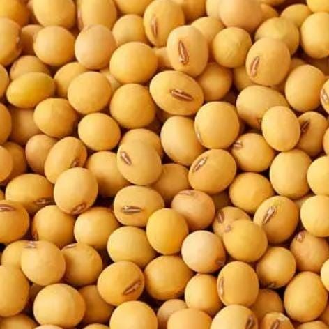 soya bean from 나이지리아 supplied by MARKHALSA INTERNATIONAL LIMITED - Cleaned 대두