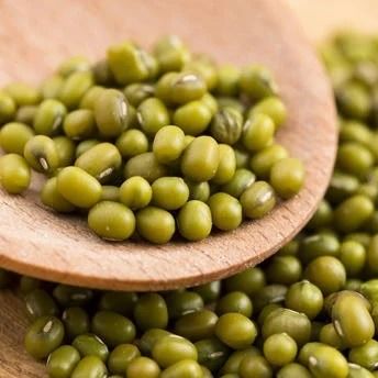 MYANMAR GREEN MUNG BEANS from 미얀마 [버마] supplied by Rosanna Company Limited - Regular 녹두나물