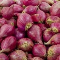Shallots from 인도네시아 supplied by Maonion - 샬롯