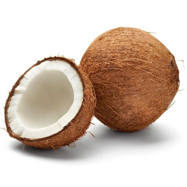 Noix de Coco from 코트디부아르 supplied by AFRICA BUSINESS INVESTMENT HOLDING - 크기: 60 기타 신선 코코넛