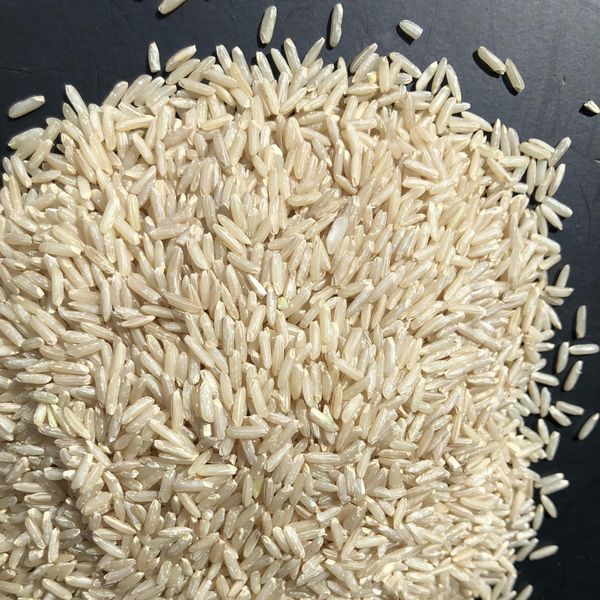 Brown rice from 베트남 supplied by Sunrise Ins - Dehusked (Brown Rice) 쌀
