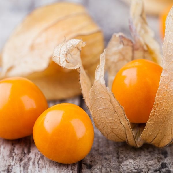 Golden Gooseberry from 남아프리카공화국 supplied by Valley View Estate (Pty) Ltd - Unspecified 신선 구스베리