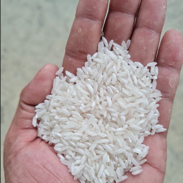 Long grain white rice 5%/ 15%/ 25%/ 100% broken from 베트남 supplied by Sunrise Ins - Long Grain Rice 쌀