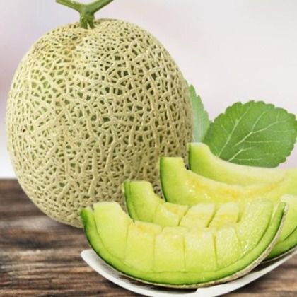 Musk (Earl’s) - Melon from 대한민국 supplied by Foodchain - 신선 멜론(머스크 멜론)