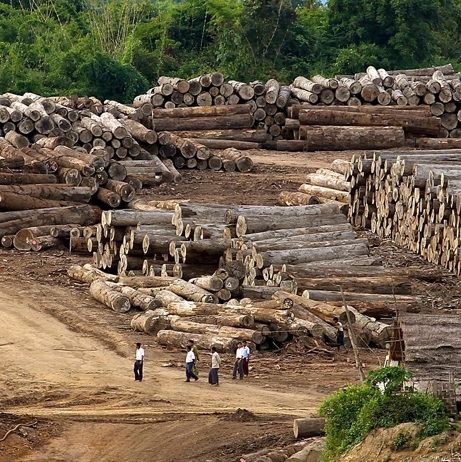 MYANMAR BURMA TEAK WOOD TIMBERS from 미얀마 [버마] supplied by Rosanna Company Limited - Long 소방