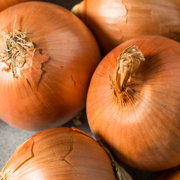 Fresh Onion from 이집트 supplied by AMG FUTURE - 60-80mm 신선 양파