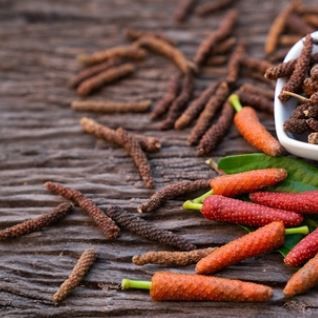 Long Pepper from 인도네시아 supplied by Globalindo Mega Aroma - High Quality 필발