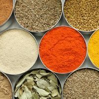 Spices from Egypt supplied by Zadi Food - Mixed Spices Products