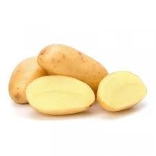 Potato from 이집트 supplied by ALDBERKY TREADING - 신선 일반 감자