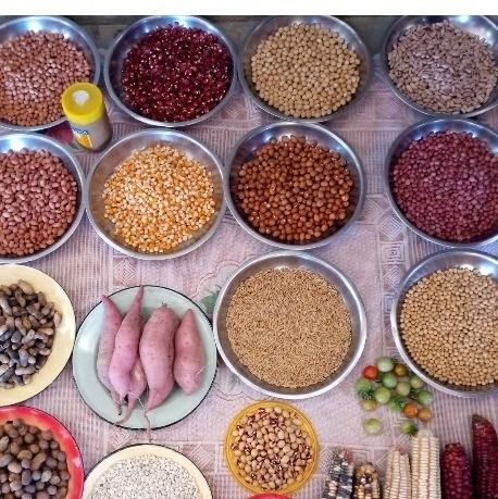 Seed Foods from Ghana from Ghana supplied by PRIBOFO ENTERPRISE - Raw Sesame Seed