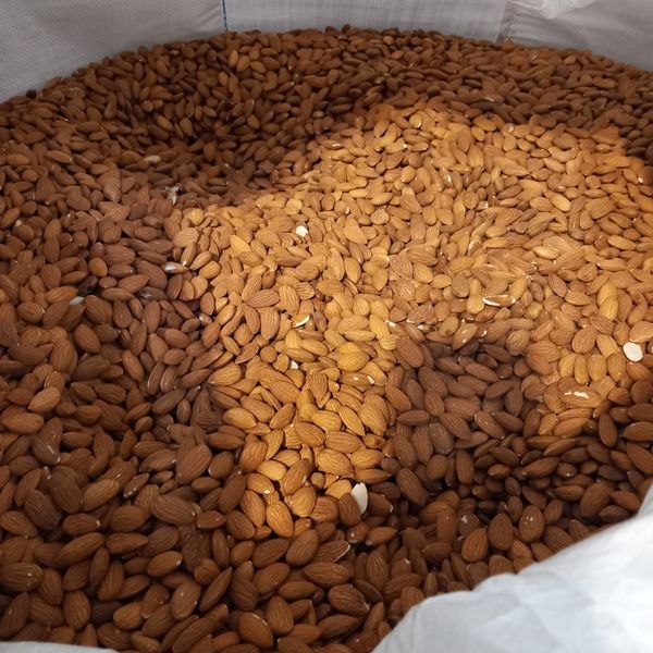 USA NPX1 27/30 from 미국 supplied by JKT FOODS TRADING - 갈색 아몬드 알맹이