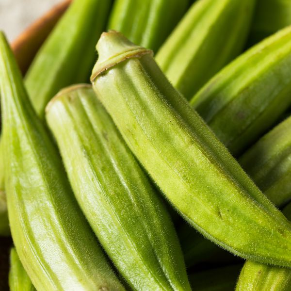 Frozen Okra from 이집트 supplied by AMG FUTURE - 냉동 오크라
