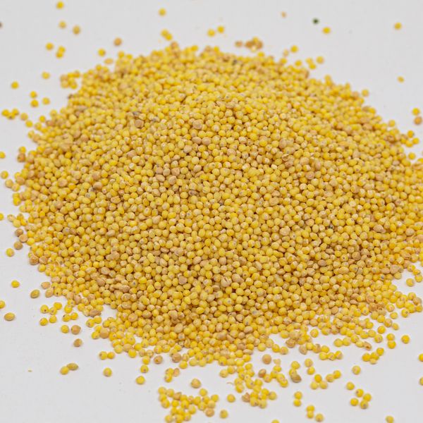 Millet (Panicum miliaceum) from 크로아티아 supplied by MP Product - Shelled 밀레