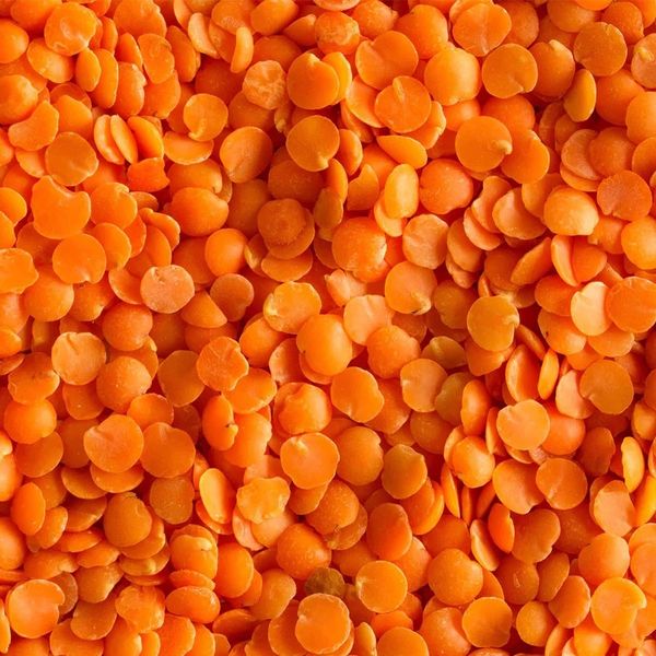 High Quality Bulk Dried Whole Red Lentils from 캐나다 supplied by Bruckmann GmbH - 노지 말린 렌틸