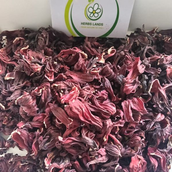 Hibiscus from Egypt supplied by herbslands - No. 1 Hibiscus