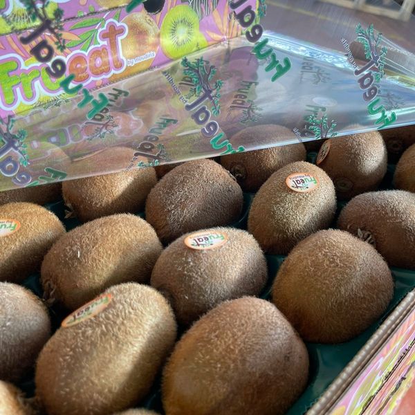 Fresh Kiwifruits from Greece supplied by FRU.EAT - Green Kiwi (=Zespri Green) Fresh Kiwifruit