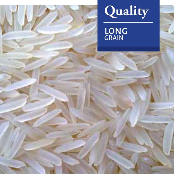 White Rice from 아르헨티나 supplied by QUELLE TRADE, import export d.o.o - 쌀