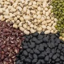 Beans from 탄자니아 supplied by Phema Agri - 말린 일반 콩