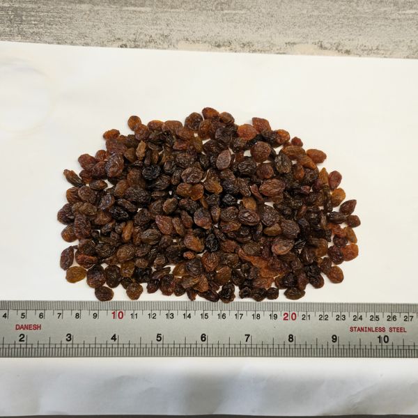 Sultana Raisins from 이란 supplied by KOUROSH DRIED FRUITS&LEGUMES INDUSTRY - AA 건포도