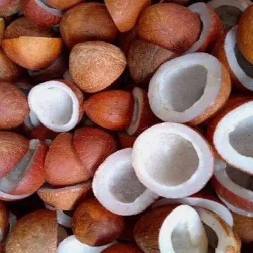 Dry Coconut (Copra) from 인도 supplied by AGROCARTE EXIM ENTERPRISES PRIVATE LIMITED - Mixed 기타 말린 과일