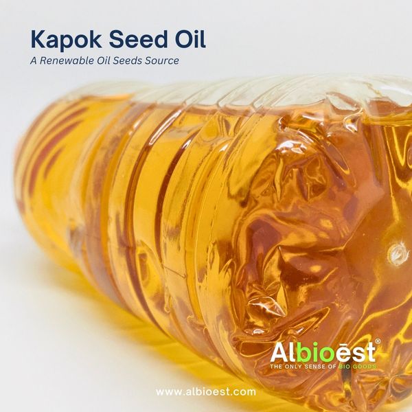 Kapok Seed Oil from 인도네시아 supplied by PT. Albioest Intiberkah Madani - High Quality 목화씨 오일