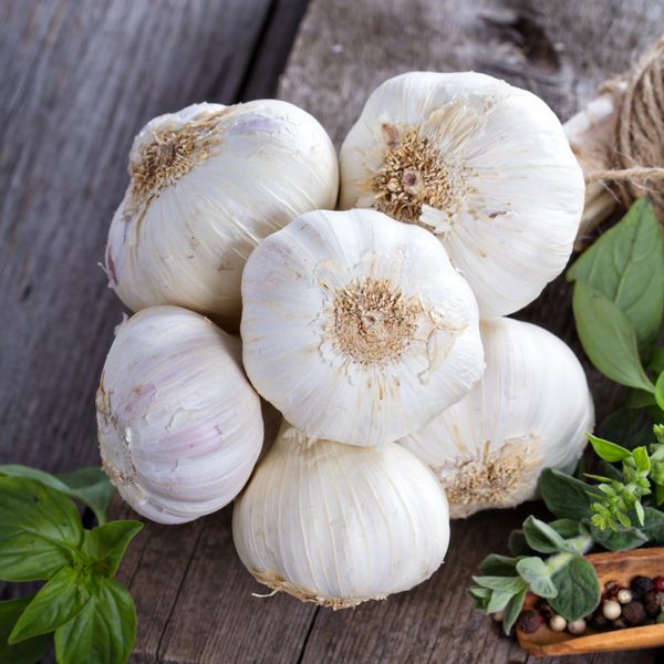 Garlic from 인도 supplied by Liberty Exports - Size: 40-60 신선 마늘