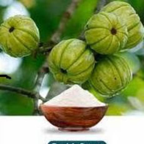 Garcinia cambogia Extract 50% and 60% HCA from 인도 supplied by SHRI AHIMSA NATURALS LIMITED - Powder 허브 블렌드